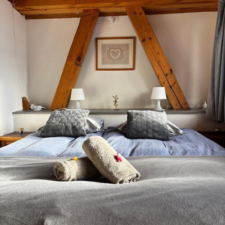 Central Hostel Châtel Exteriér fotografie