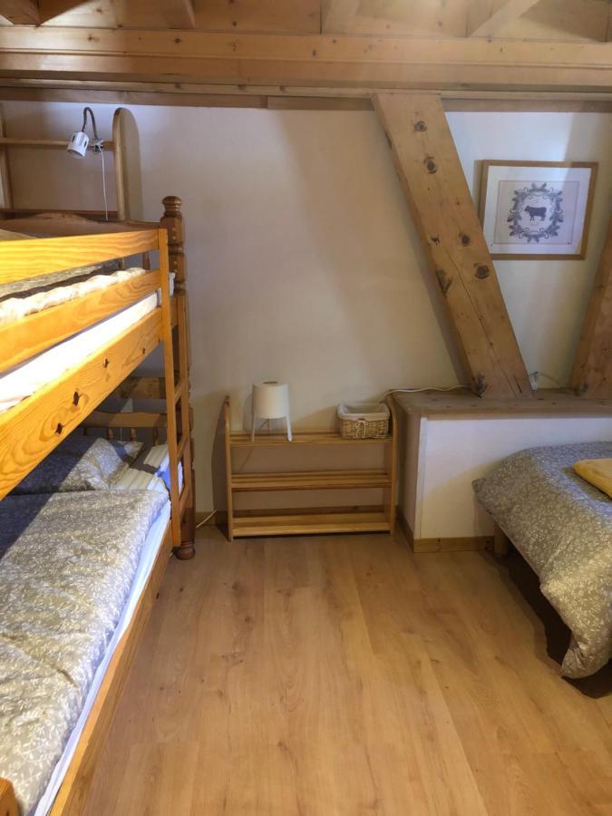 Central Hostel Châtel Exteriér fotografie